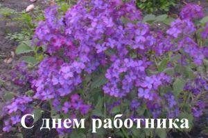 Чтоб не сглазили на свадьбе! - Приметы и суеверия Чтоб не сглазили на свадьбе! - Приметы и суеверия