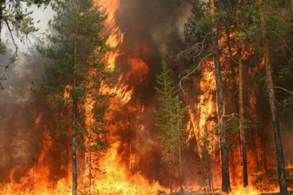 situaciya z brudnim povitryam u kiyevi mozhe pogirshitis u dsns prognozuyut pik pozhezh na vixidni dni 66ee796bf15de Ситуація з брудним повітрям у Києві може погіршитись — у ДСНС прогнозують пік пожеж на вихідні дні