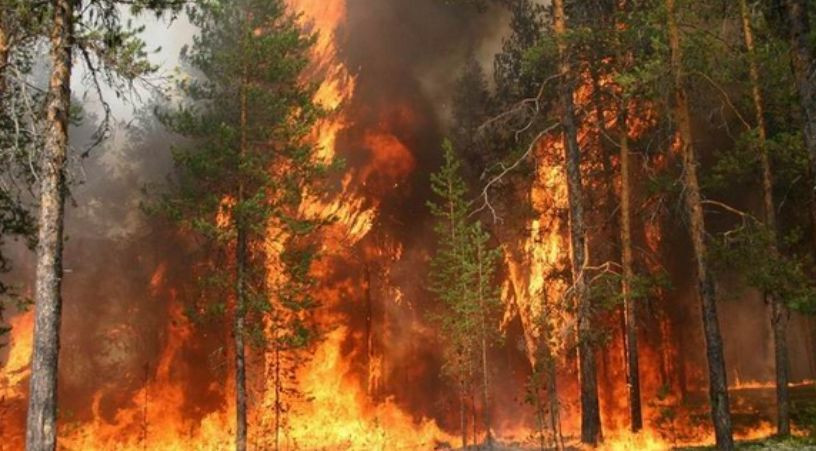 situaciya z brudnim povitryam u kiyevi mozhe pogirshitis u dsns prognozuyut pik pozhezh na vixidni dni 66ee796bf15de Ситуація з брудним повітрям у Києві може погіршитись — у ДСНС прогнозують пік пожеж на вихідні дні