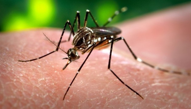 yevropoyu i ssha shiritsya virus vid yakogo nemaye likiv 66fa5566c82cc Європою і США шириться вірус, від якого немає ліків