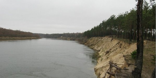 zhitel chernigivshhini pokazav video masshtabiv moru ribi v desni 66df203f0fd23 Житель Чернігівщини показав відео масштабів мору риби в Десні