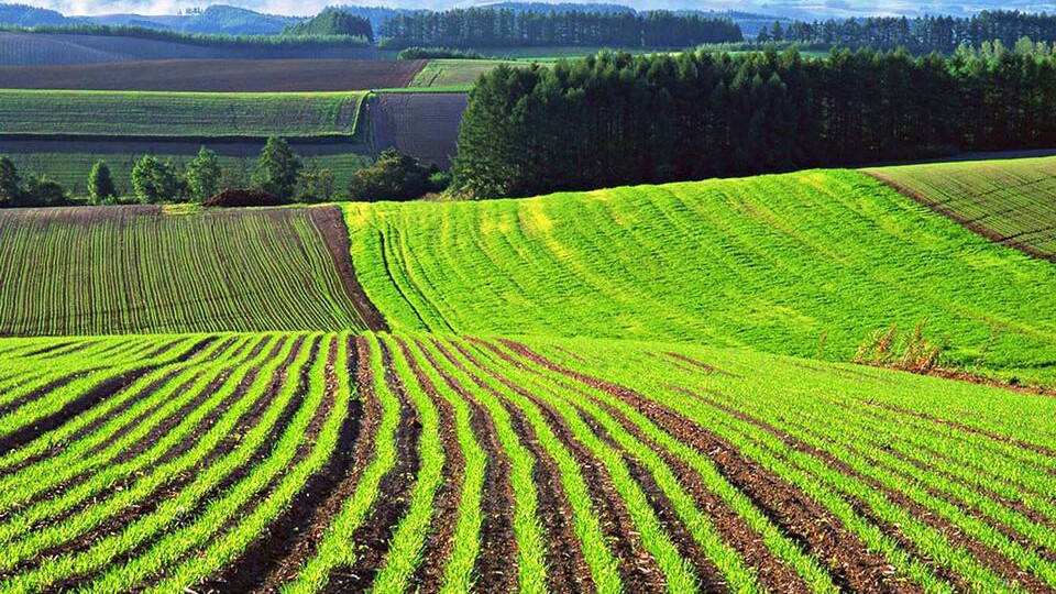 gromadi na zhitomirshhini povernut majzhe 680 ga zemli z nezakonnogo koristuvannya 67121116b4437 Громаді на Житомирщині повернуть майже 680 га землі з незаконного користування