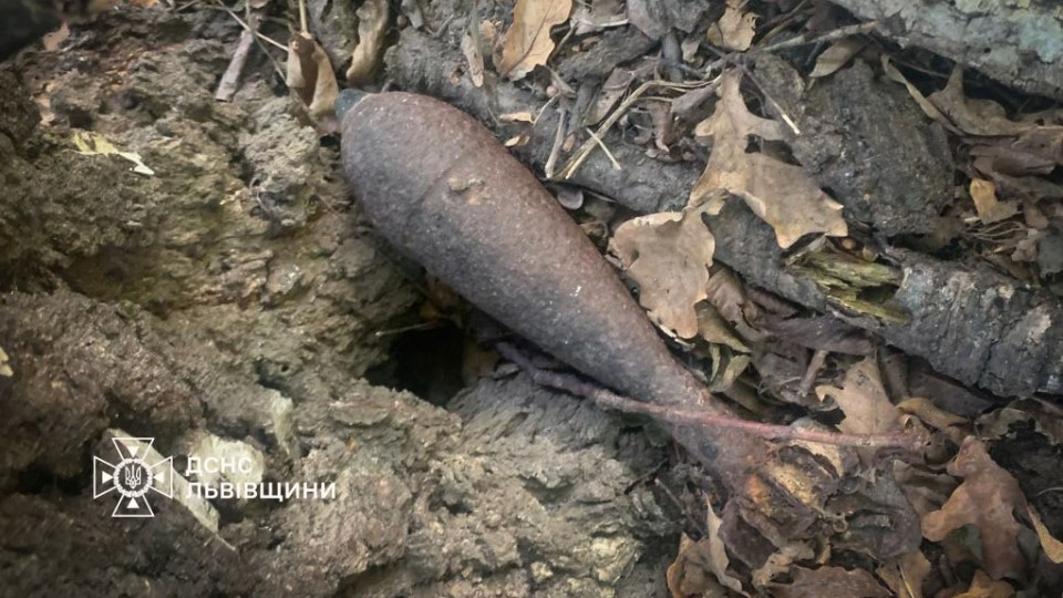 na lvivshhini pid chas zbirannya gribiv cholovik natrapiv na minometnu minu foto 670a2881a4f2e На Львівщині під час збирання грибів чоловік натрапив на мінометну міну, фото