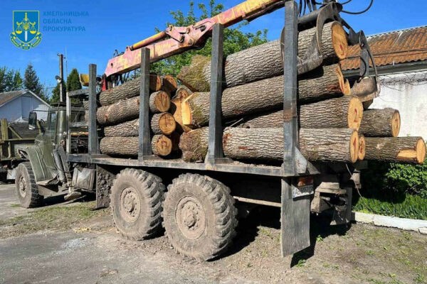 na xmelnichchini chorni lisorubi pid prikrittyam pravooxoroncya nezakonno rubali dubi na miljoni griven 671def4e41a01 На Хмельниччині «чорні лісоруби» під прикриттям правоохоронця незаконно рубали дуби на мільйони гривень