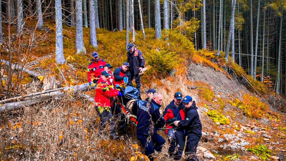 v lisi na prikarpatti viyaviti tilo cholovika yakij naperedodni pishov po gribi 67233437dd396 В лісі на Прикарпатті виявити тіло чоловіка, який напередодні пішов по гриби