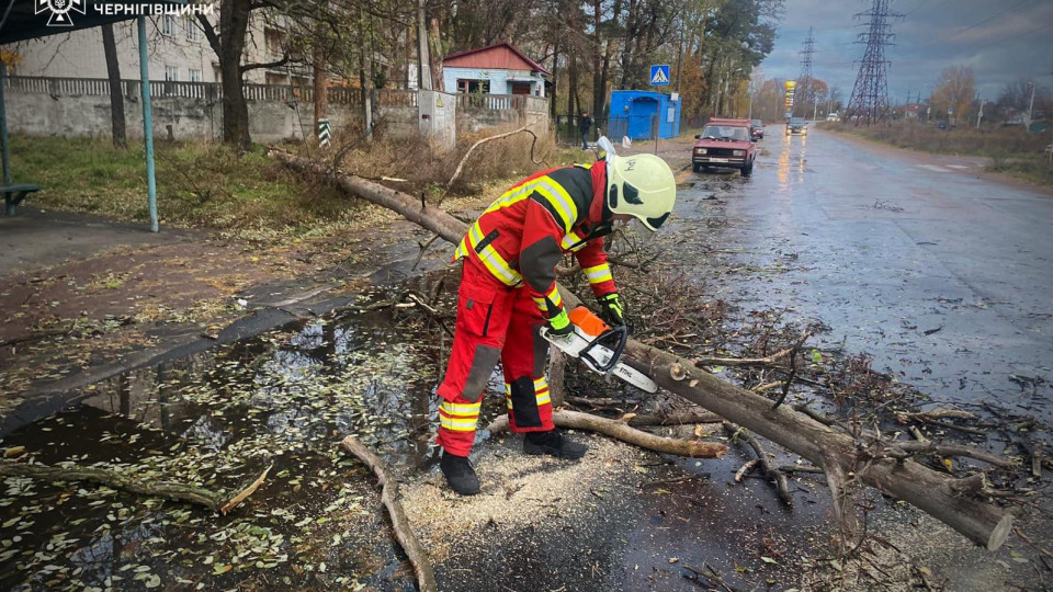 povaleni dereva na prod197zhdzhi chastini u dsns pokazali naslidki negodi v ukrad197ni foto 672b1eafcbf23 Повалені дерева на проїжджі частини – у ДСНС показали наслідки негоди в Україні, фото