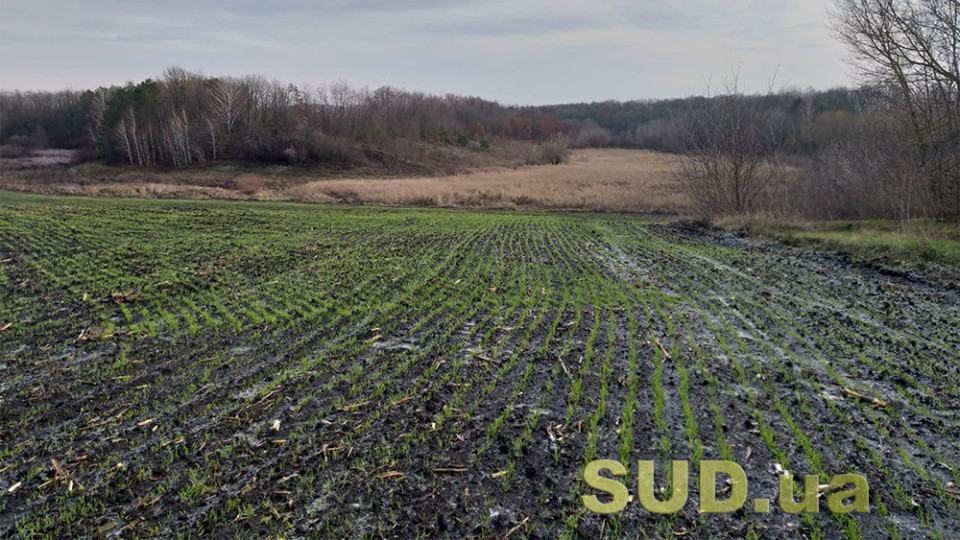 sud konfiskuvav dvi zemelni dilyanki u gromadyanina rf yaki vin uspadkuvav 672f1253c1770 Суд конфіскував дві земельні ділянки у громадянина рф, які він успадкував