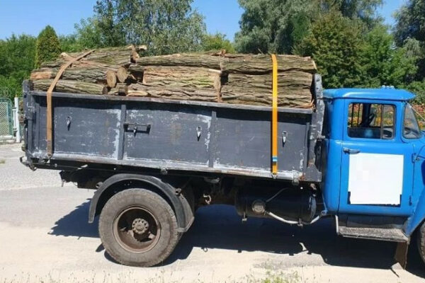 ukrad197nciv yaki zberigayut vdoma drova bez dokumentiv mozhut oshtrafuvati abo vidpraviti za d291rati 67287b3d3c8ed Українців, які зберігають вдома дрова без документів, можуть оштрафувати або відправити за ґрати