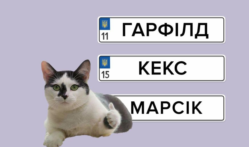 v ukrad197ni znovu mozhna zamoviti individualni nomerni znaki yaka vartist 672c70431bf7f В Україні знову можна замовити індивідуальні номерні знаки — яка вартість