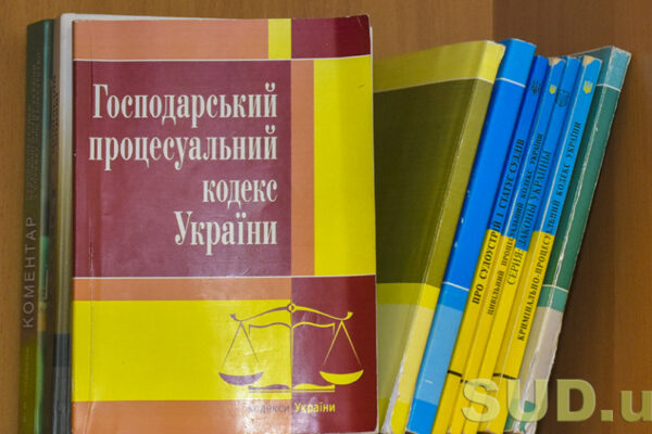 opublikovano zakon pro sudovij kontrol za vikonannyam rishen sxidnij ags poyasniv osnovni zmini do gpk 6764c3940cadd Опубліковано закон про судовий контроль за виконанням рішень — Східний АГС пояснив основні зміни до ГПК