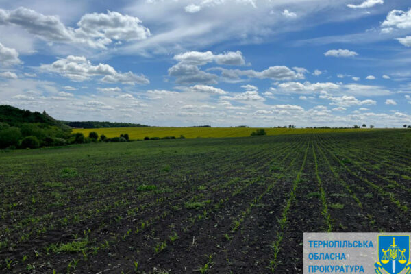 pamyatku arxeologid197 na ternopilshhini cherez sud povernuli derzhavi 675b8a1266738 Пам'ятку археології на Тернопільщині через суд повернули державі