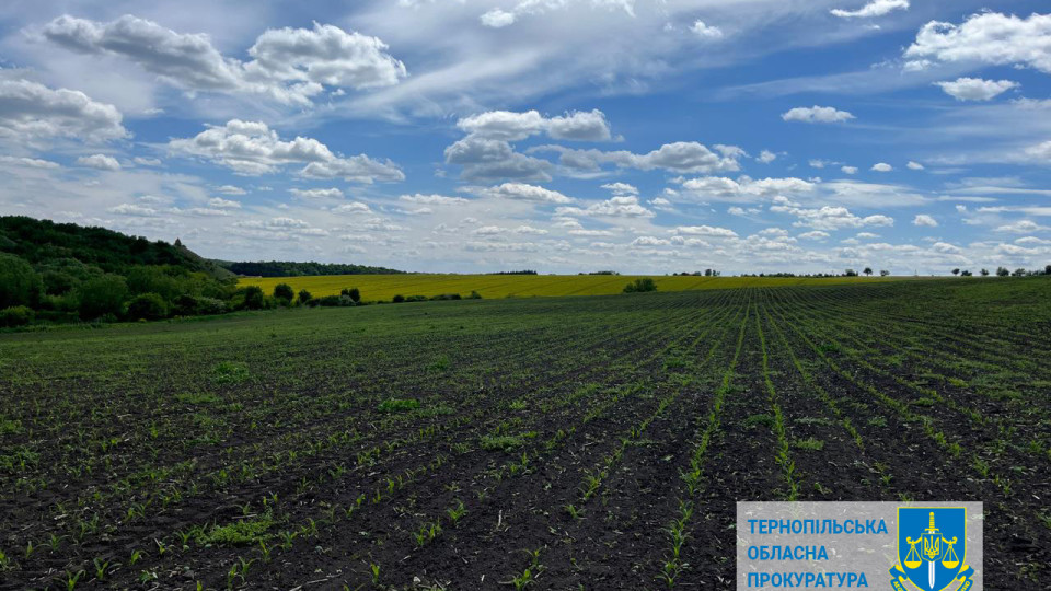 pamyatku arxeologid197 na ternopilshhini cherez sud povernuli derzhavi 675b8a1266738 Пам'ятку археології на Тернопільщині через суд повернули державі