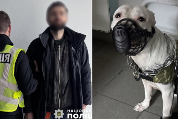 u cholovika yakij pobiv svogo psa u kiyevi policiya viluchila tvarinu ta vidkrila spravu 675b88368bdc0 У чоловіка, який побив свого пса у Києві, поліція вилучила тварину та відкрила справу