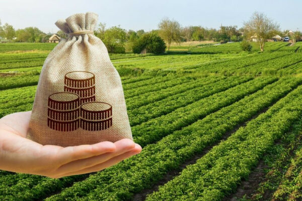 podatkova poyasnila shho take minimalne podatkove zobovyazannya 6789aa26e1331 Податкова пояснила, що таке мінімальне податкове зобов’язання
