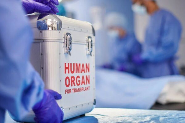 verxovna rada zaboronila viluchennya anatomichnix materialiv u zagiblix vnaslidok bojovix dij 6780732fed47e Верховна Рада заборонила вилучення анатомічних матеріалів у загиблих внаслідок бойових дій