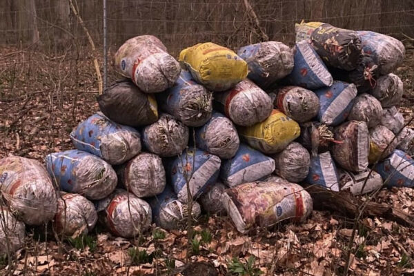 У Лейпцигу затримано росіян, що збирали черемшу для продажу в Росію u lejpcigu zatrimano rosiyan shho zbirali cheremshu dlya prodazhu v rosiyu 67ae9e27dcc62 У Лейпцигу затримано росіян, що збирали черемшу для продажу в Росію