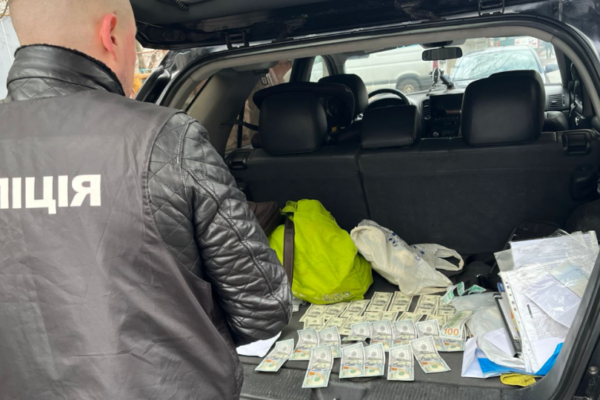 grupa invalidnosti za xabar meshkanka zhitomira organizuvala zlochinnu sxemu 67ca51fcc27cf Група інвалідності за хабар — мешканка Житомира організувала злочинну схему