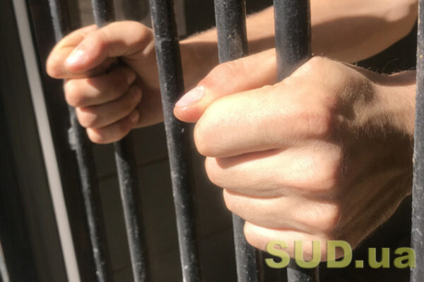na prikarpatti cholovik u zaxidniku nezakonno zrubav 14 yalin na ponad 12 mln griven 68115a444c468 На Прикарпатті чоловік у західнику незаконно зрубав 14 ялин на понад 1,2 млн гривень