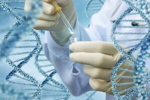 225 tisyach zrazkiv dnk zsu perexodit na avtomatizovanu genetichnu bazu dlya identifikacid197 bijciv 6823d00498016 225 тисяч зразків ДНК – ЗСУ переходить на автоматизовану генетичну базу для ідентифікації бійців