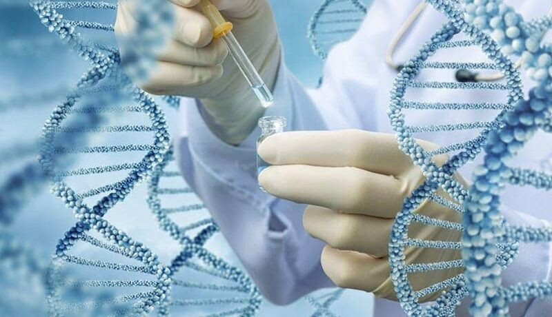 225 tisyach zrazkiv dnk zsu perexodit na avtomatizovanu genetichnu bazu dlya identifikacid197 bijciv 6823d00498016 225 тисяч зразків ДНК – ЗСУ переходить на автоматизовану генетичну базу для ідентифікації бійців