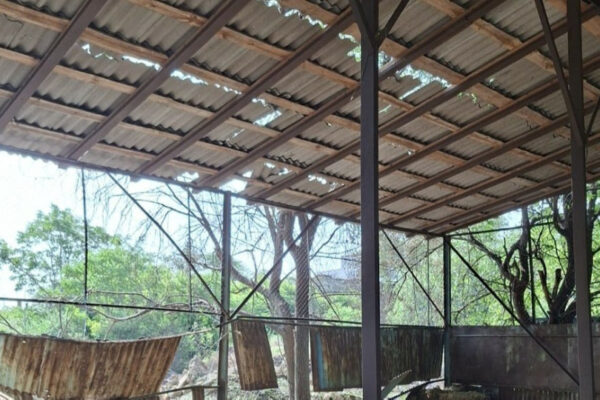 v odesi vnaslidok ataki shaxediv zaginula tvarina u zooparku 6848b94c810aa В Одесі внаслідок атаки шахедів загинула тварина у зоопарку