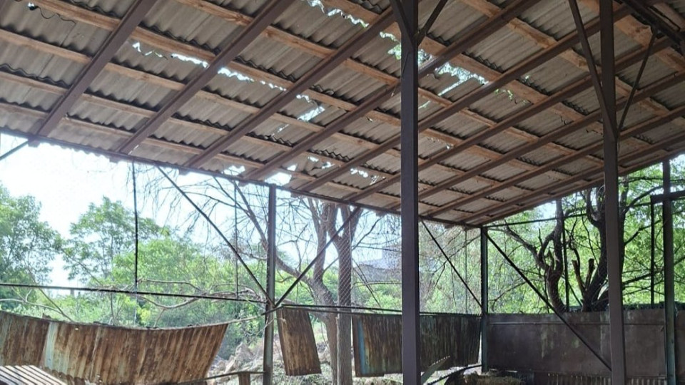 v odesi vnaslidok ataki shaxediv zaginula tvarina u zooparku 6848b94c810aa В Одесі внаслідок атаки шахедів загинула тварина у зоопарку