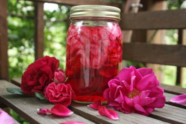 recepti smachnij aromatnij kompot iz paxuchod197 rozhi 686722e414c8d Рецепти: Смачний ароматний компот із пахучої рожі