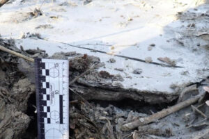 u kiyevi suditimut cholovika yakij zliv zalishki betonu u lisoparkovomu gospodarstvi koncha zaspa 6864691e166f0 У Києві судитимуть чоловіка, який злив залишки бетону у лісопарковому господарстві «Конча-Заспа»