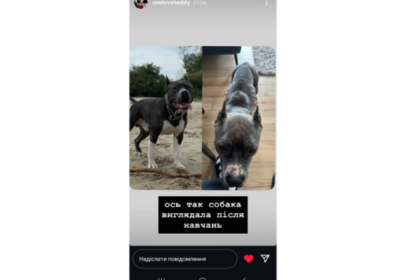 Кияни вимагають перевірити кінологічний центр Dogland by Loktionov через підозри у знущанні над собаками kiyani vimagayut pereviriti kinologichnij centr dogland by loktionov cherez pidozri u znushhanni nad sobakami 689bc7bed767a Кияни вимагають перевірити кінологічний центр Dogland by Loktionov через підозри у знущанні над собаками