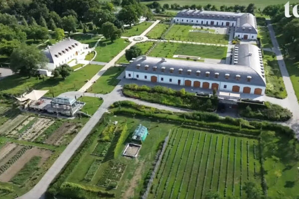 В Угорщині спалахнув скандал через розкішний маєток Орбана з приватним зоопарком v ugorshhini spalaxnuv skandal cherez rozkishnij mayetok orbana z privatnim zooparkom 689bc7f68c71e В Угорщині спалахнув скандал через розкішний маєток Орбана з приватним зоопарком