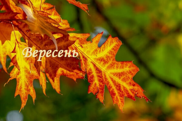 2 veresnya yake sogodni svyato ta golovni podid197 68b77766010f7 2 вересня – яке сьогодні свято та головні події