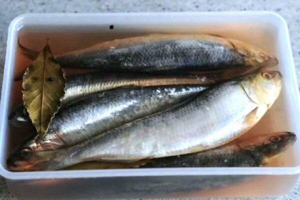 recepti smachnij apetitnij oseledec u rozsoli zi speciyami 68c36c1c44046 Рецепти: Смачний апетитний оселедець у розсолі зі спеціями