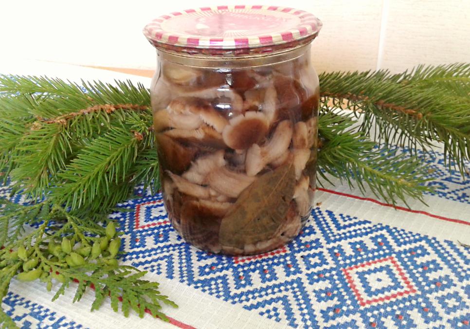 recepti smachni apetitni marinovani openki 690405888cc39 Рецепти: Смачні апетитні мариновані опеньки
