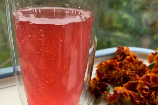 recepti smachnij domashnij aromatnij kvas iz chornobrivciv 690d401e3c688 Рецепти: Смачний домашній ароматний квас із чорнобривців