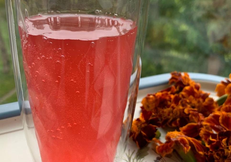 recepti smachnij domashnij aromatnij kvas iz chornobrivciv 690d401e3c688 Рецепти: Смачний домашній ароматний квас із чорнобривців