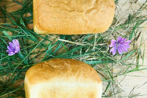 recepti smachnij domashnij xlib na molochnij sirovatci 6928ef713fdda Рецепти: Смачний домашній хліб на молочній сироватці