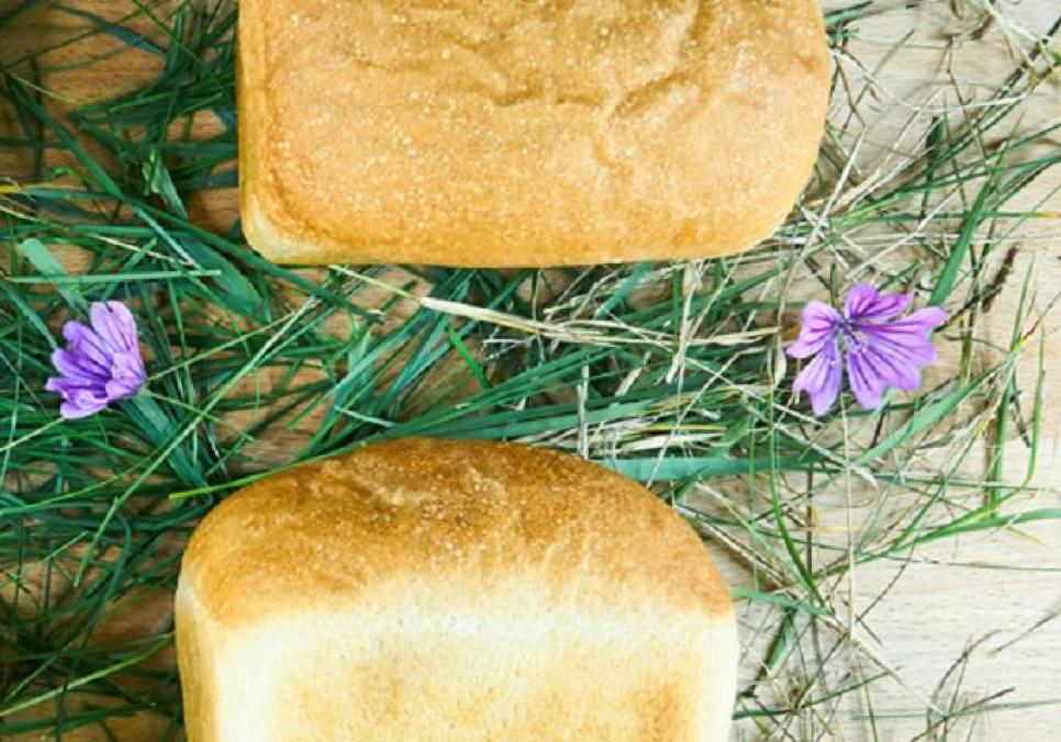 recepti smachnij domashnij xlib na molochnij sirovatci 6928ef713fdda Рецепти: Смачний домашній хліб на молочній сироватці