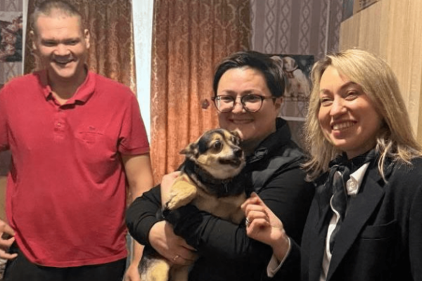 uryad gotuye yedini pravila perebuvannya tvarin u miscyax timchasovogo prozhivannya vpo 691cfb2e2f2c4 Уряд готує єдині правила перебування тварин у місцях тимчасового проживання ВПО