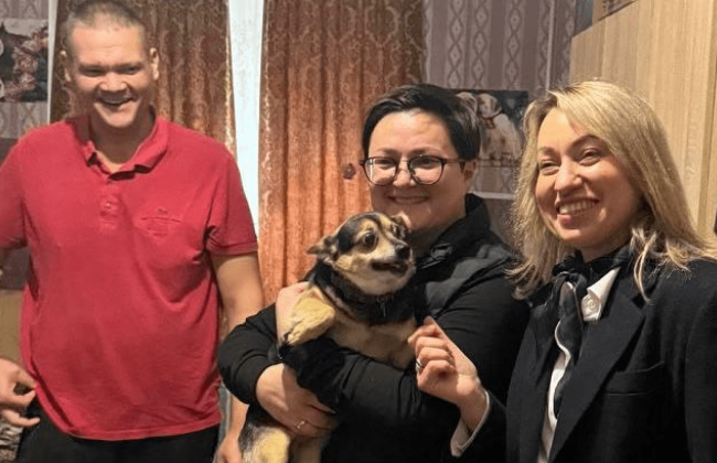 uryad gotuye yedini pravila perebuvannya tvarin u miscyax timchasovogo prozhivannya vpo 691cfb2e2f2c4 Уряд готує єдині правила перебування тварин у місцях тимчасового проживання ВПО