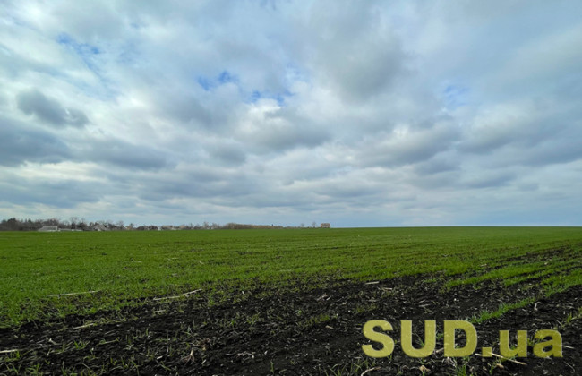 z 2026 roku zaprovadzhuyetsya nova podatkova deklaraciya z orendnod197 plati za silskogospodarski zemli derzhavnod197 vlasnosti 691cfac852208 З 2026 року запроваджується нова податкова декларація з орендної плати за сільськогосподарські землі державної власності