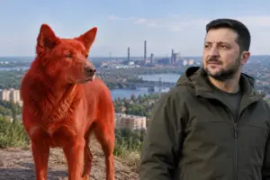 Почему в Кривом Роге красные собаки и где жил Зеленский